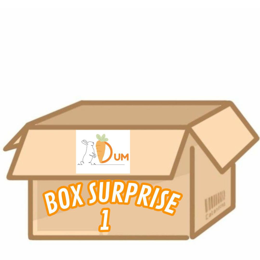 Box Surprise