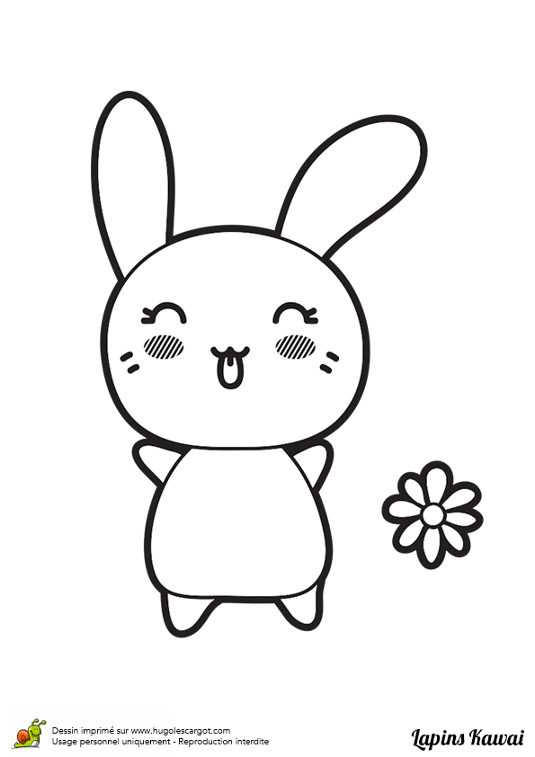 Planchette déco laser DUM MNR