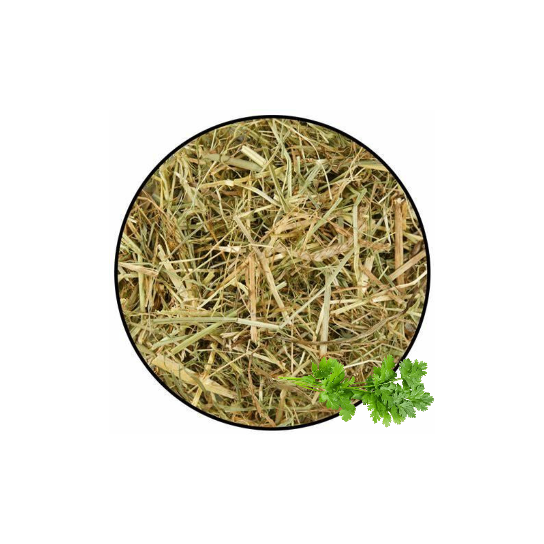 Foin mélange coriandre