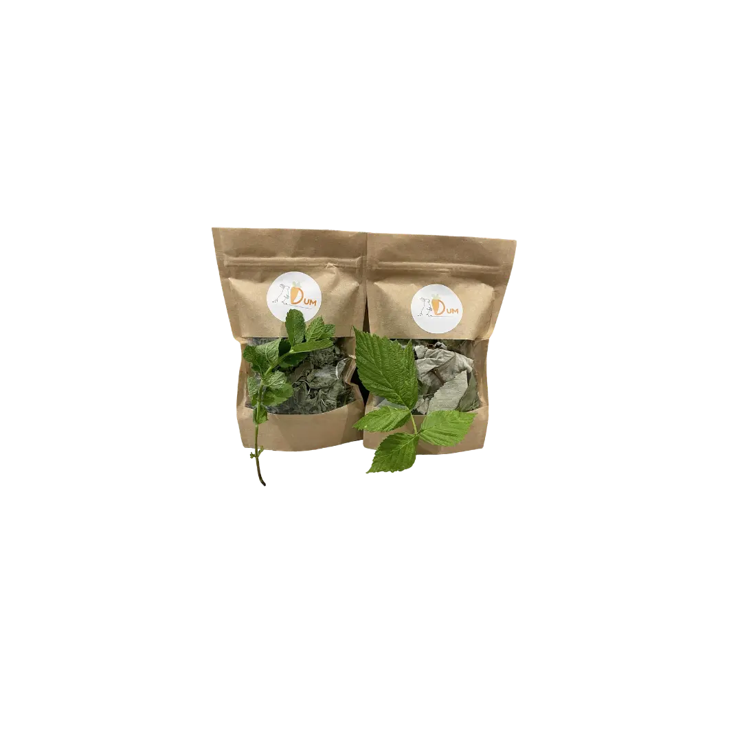 Friandises pour lapin. Sachet de feuilles de framboisier séchées et feuilles de menthe séchées