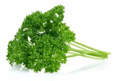 Produit Frais DUM MNR