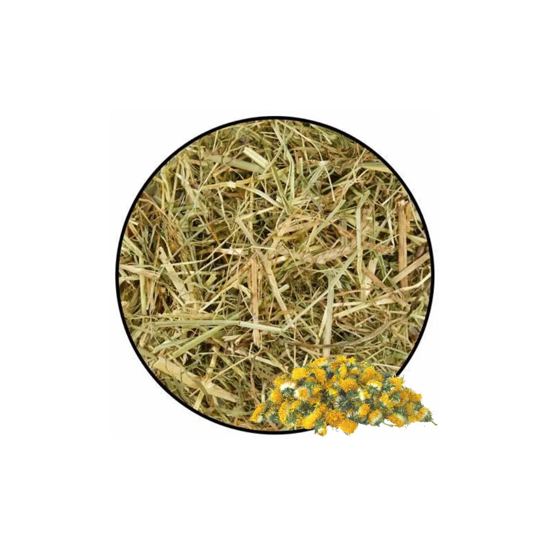 Foin mélange fleurs de pissenlit DUM MNR