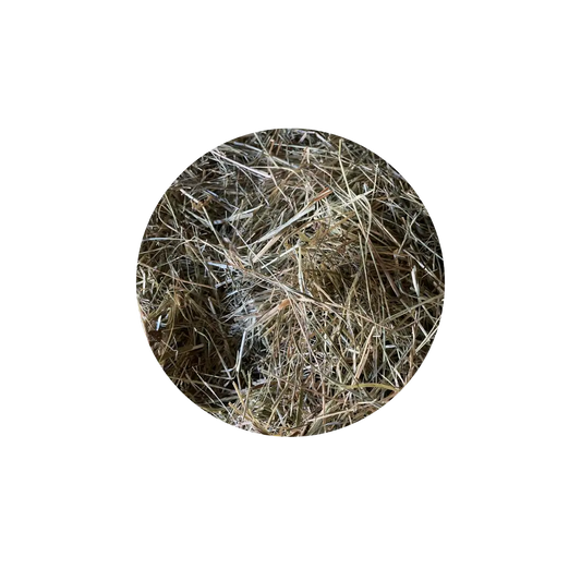 Foin de Prairie DUM MNR