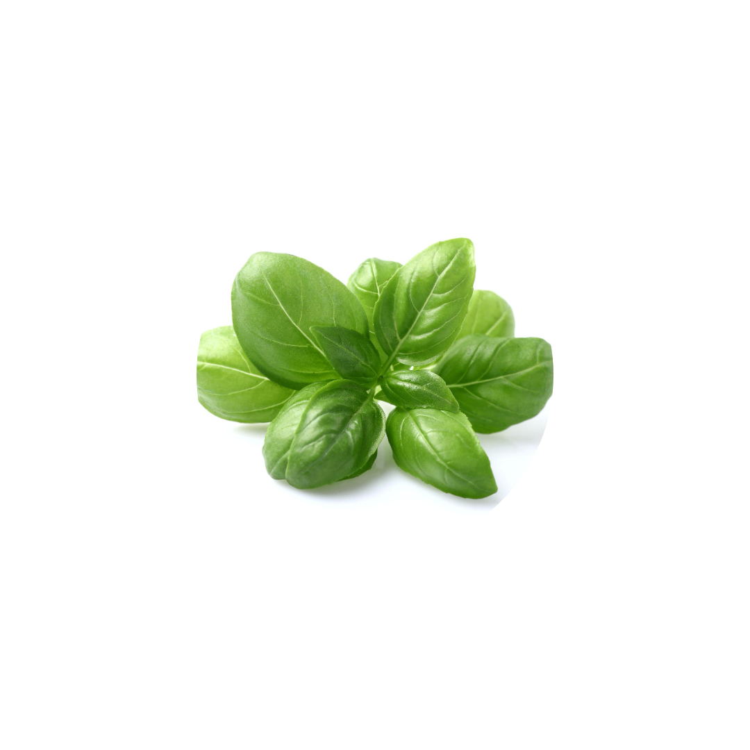 Délice de Feuilles