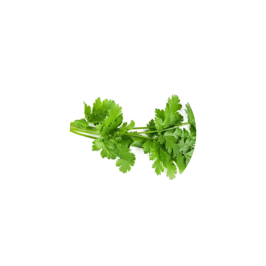 Délice Saveur et Santé DUM MNR