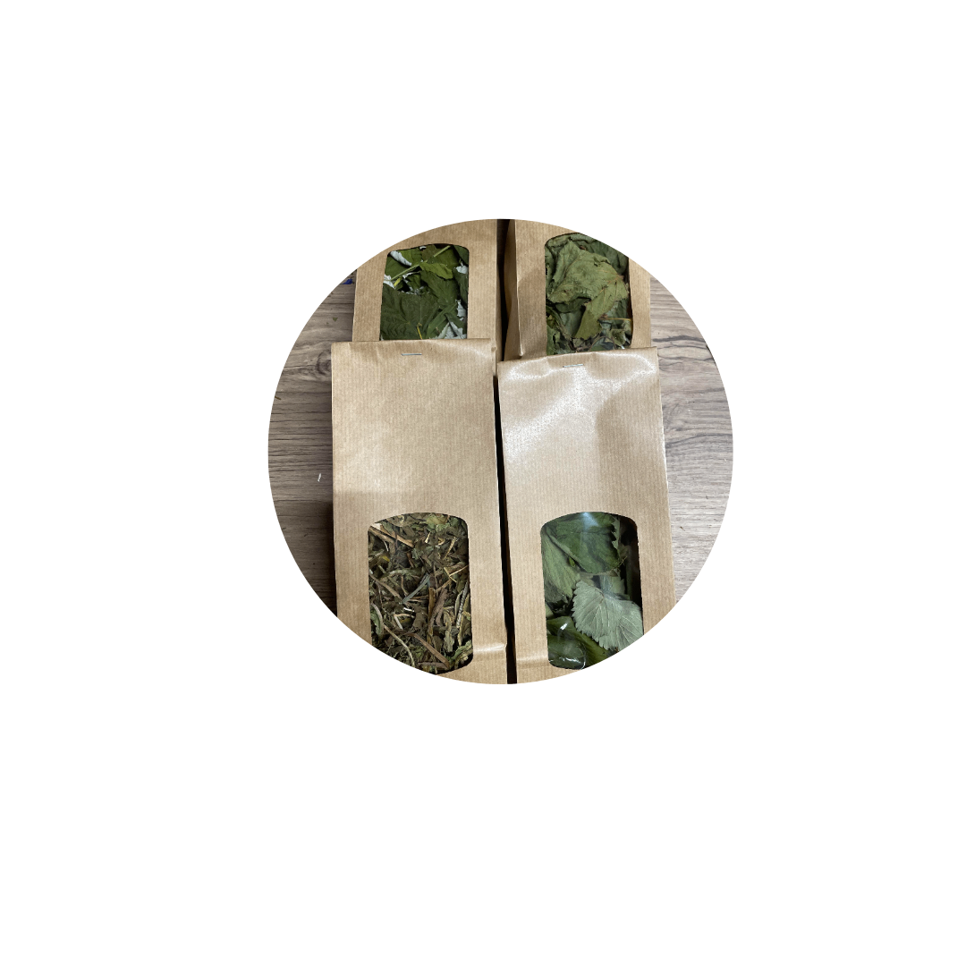 Box Feuilles du Jardin