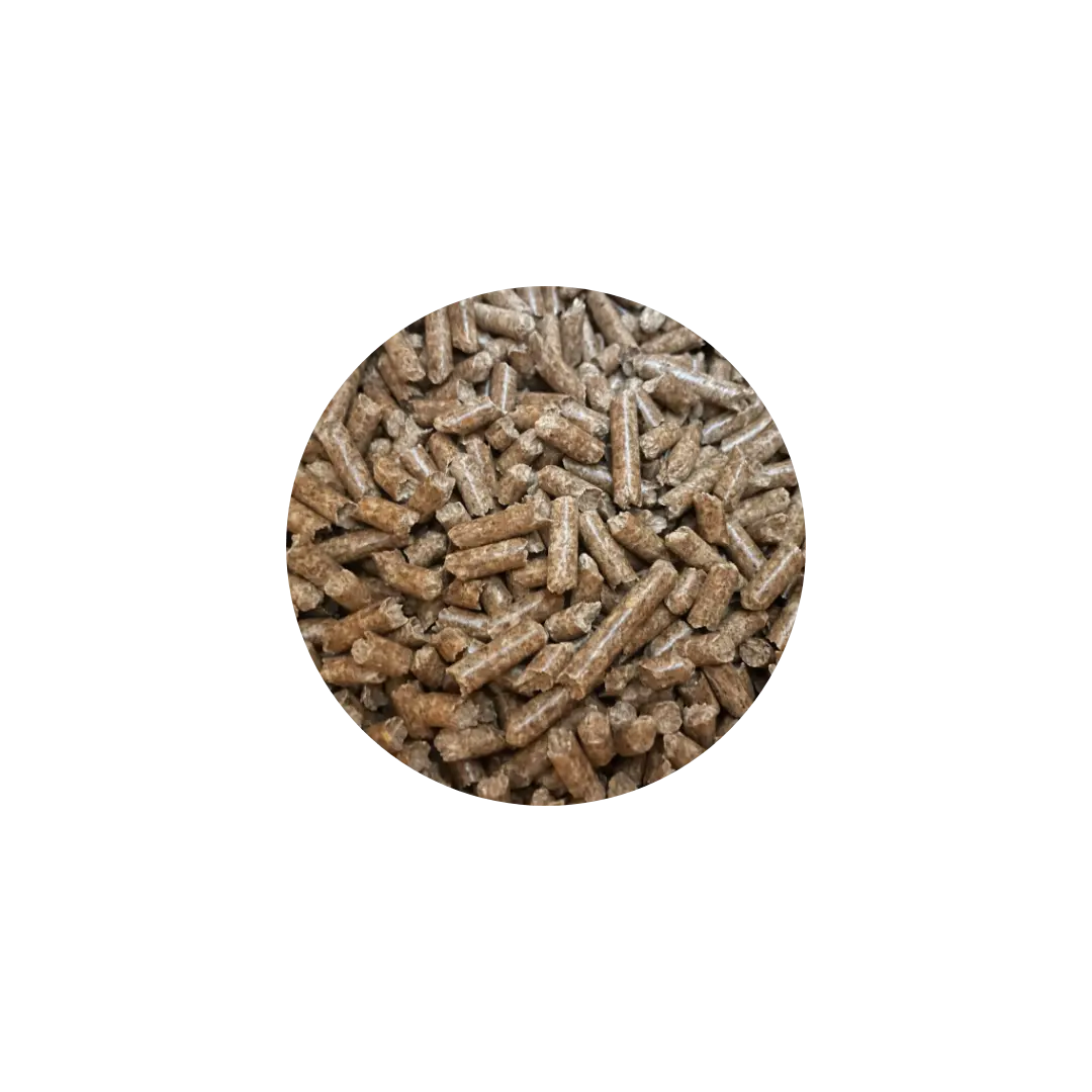Litière Granulé de bois 100% Naturel DUM MNR