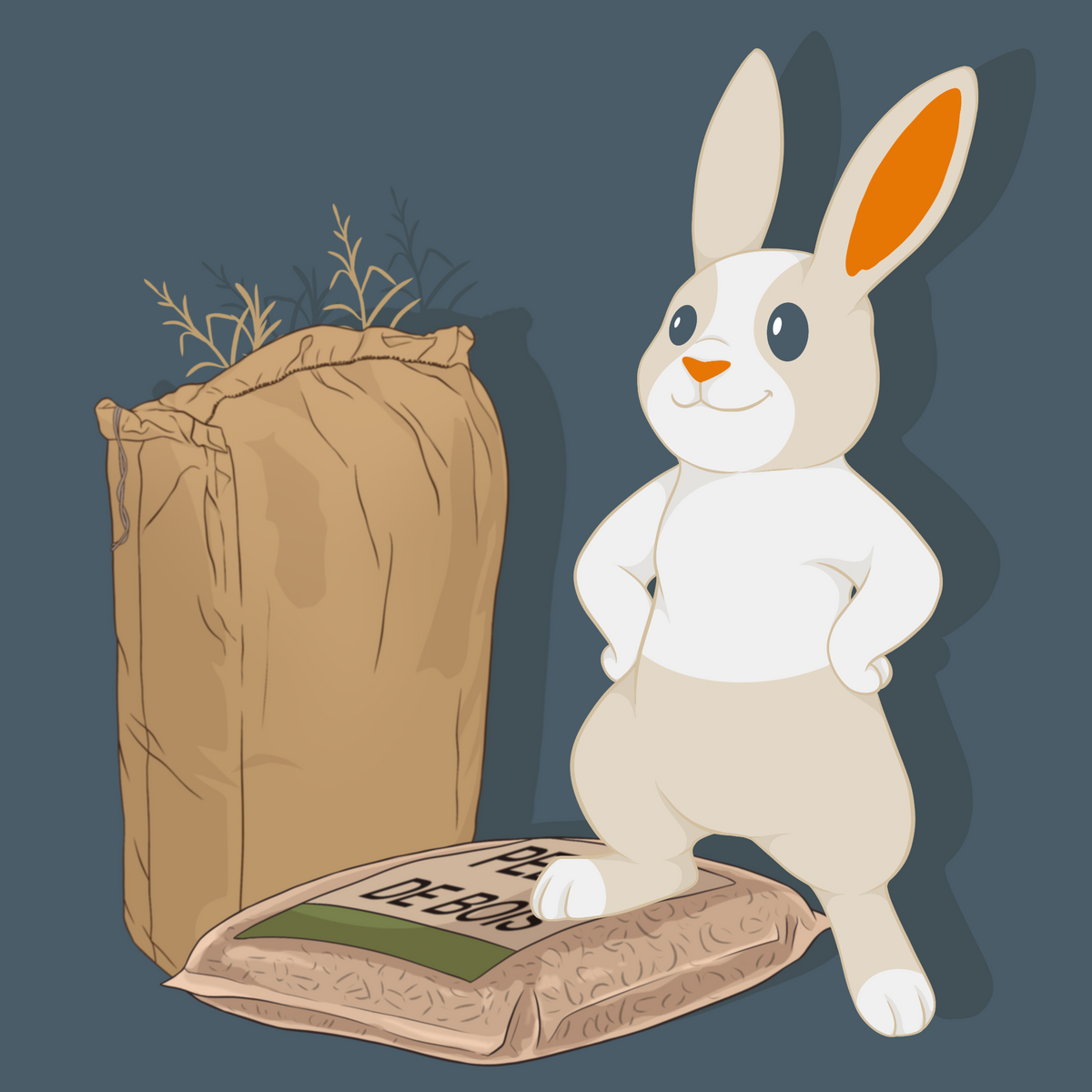 Pack éco