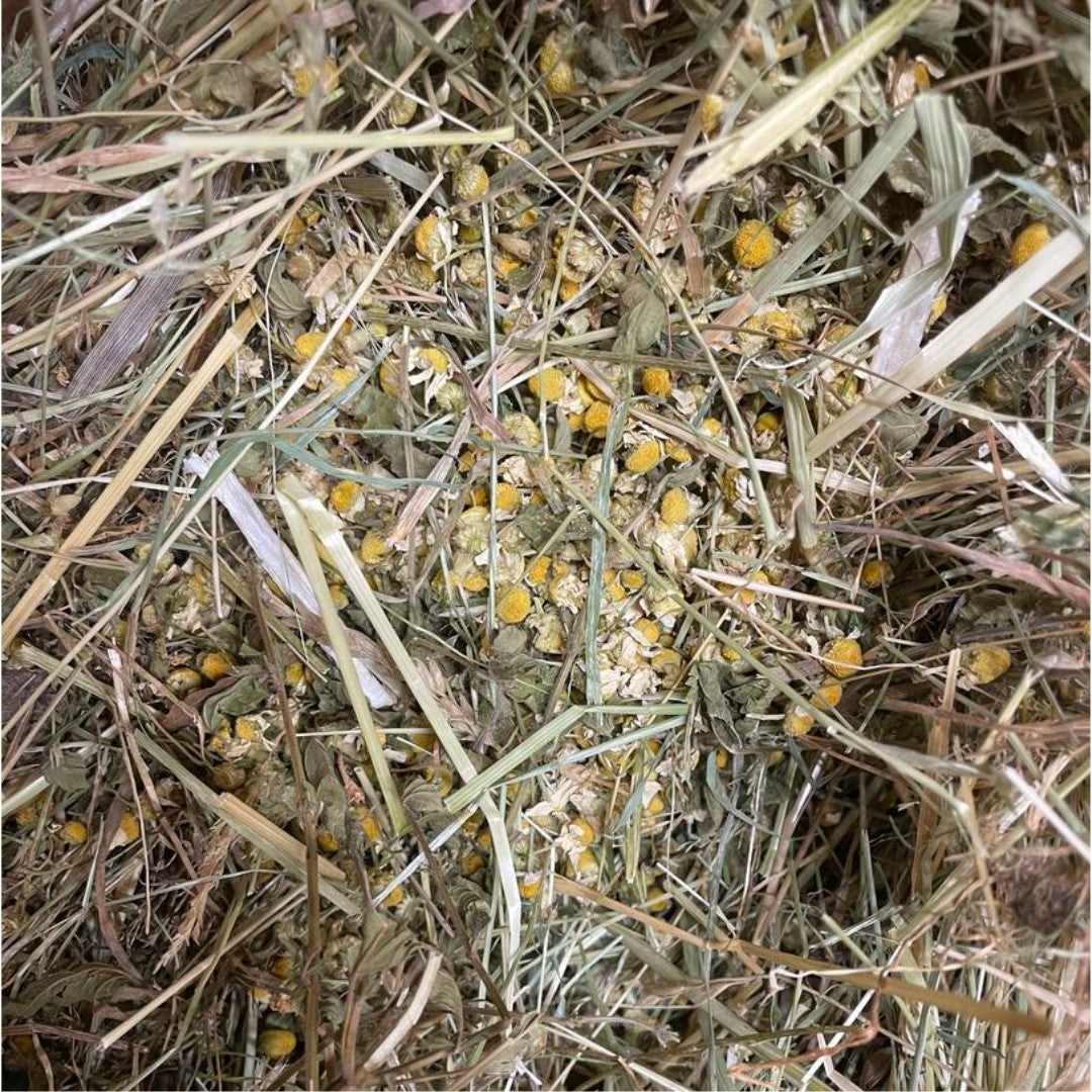 Foin édition limité