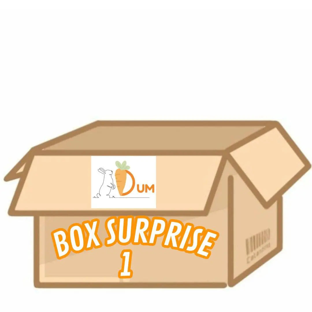 Box Surprise DUM MNR