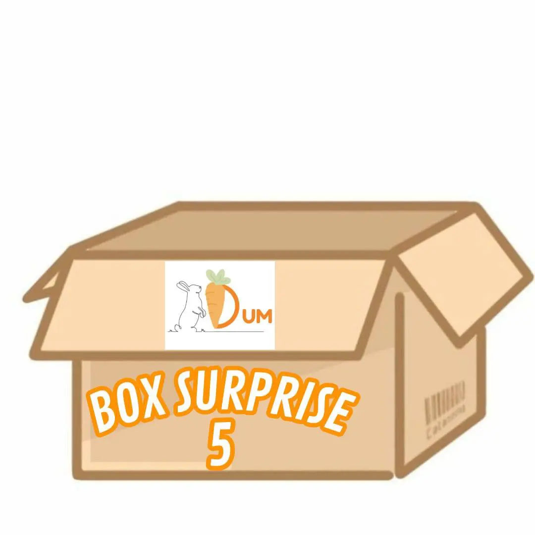 Box Surprise DUM MNR