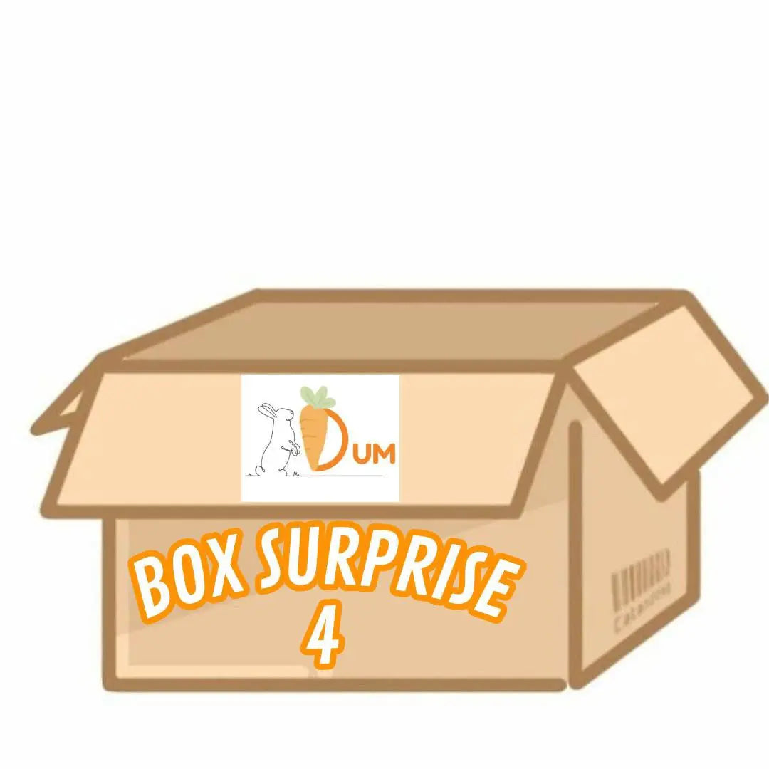 Box Surprise DUM MNR