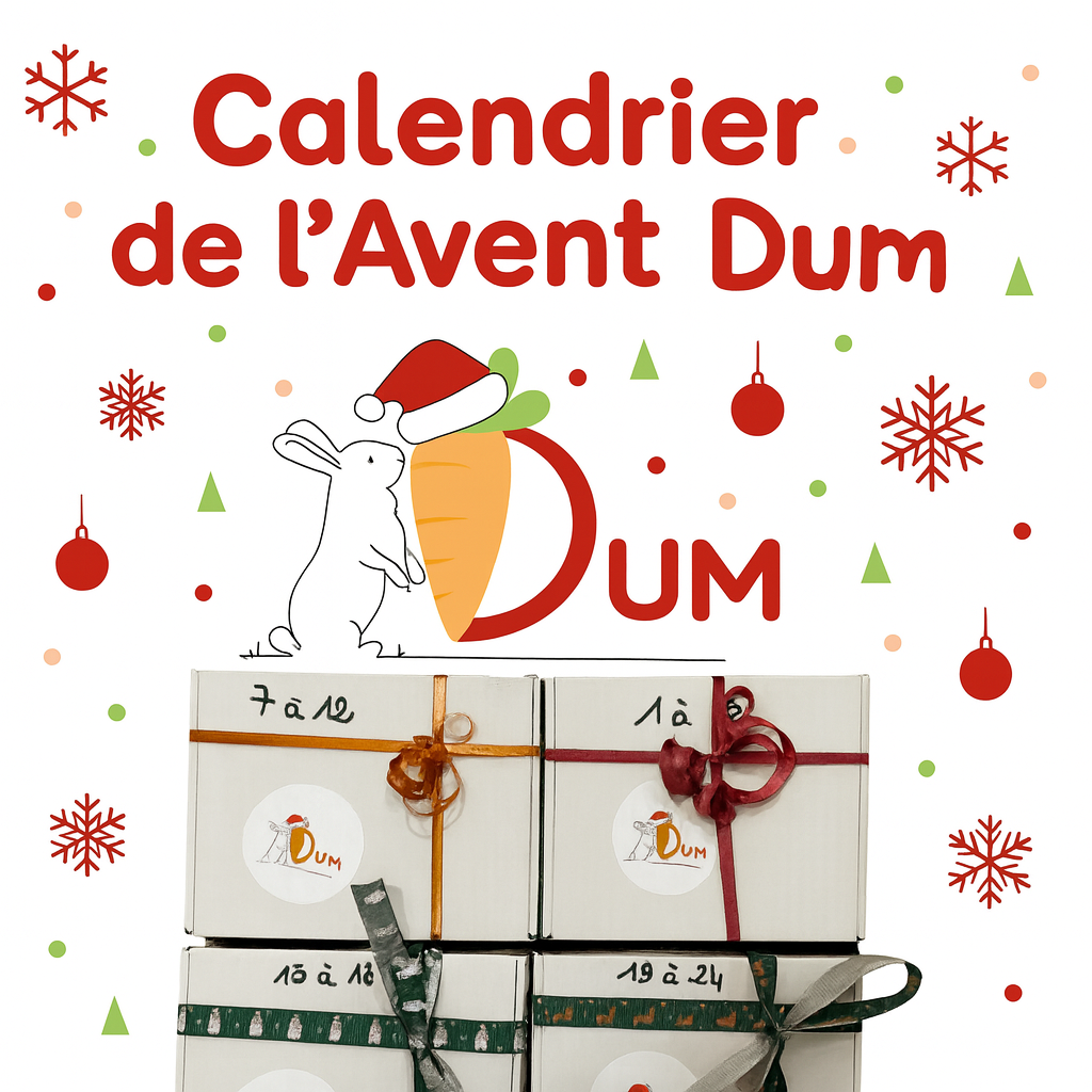 Calendrier de l'avent