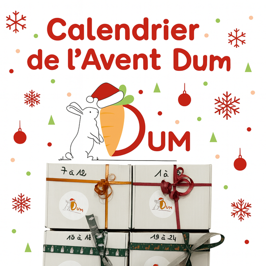 Calendrier de l'avent