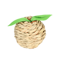 Pomme Naturelle à Grignoter
