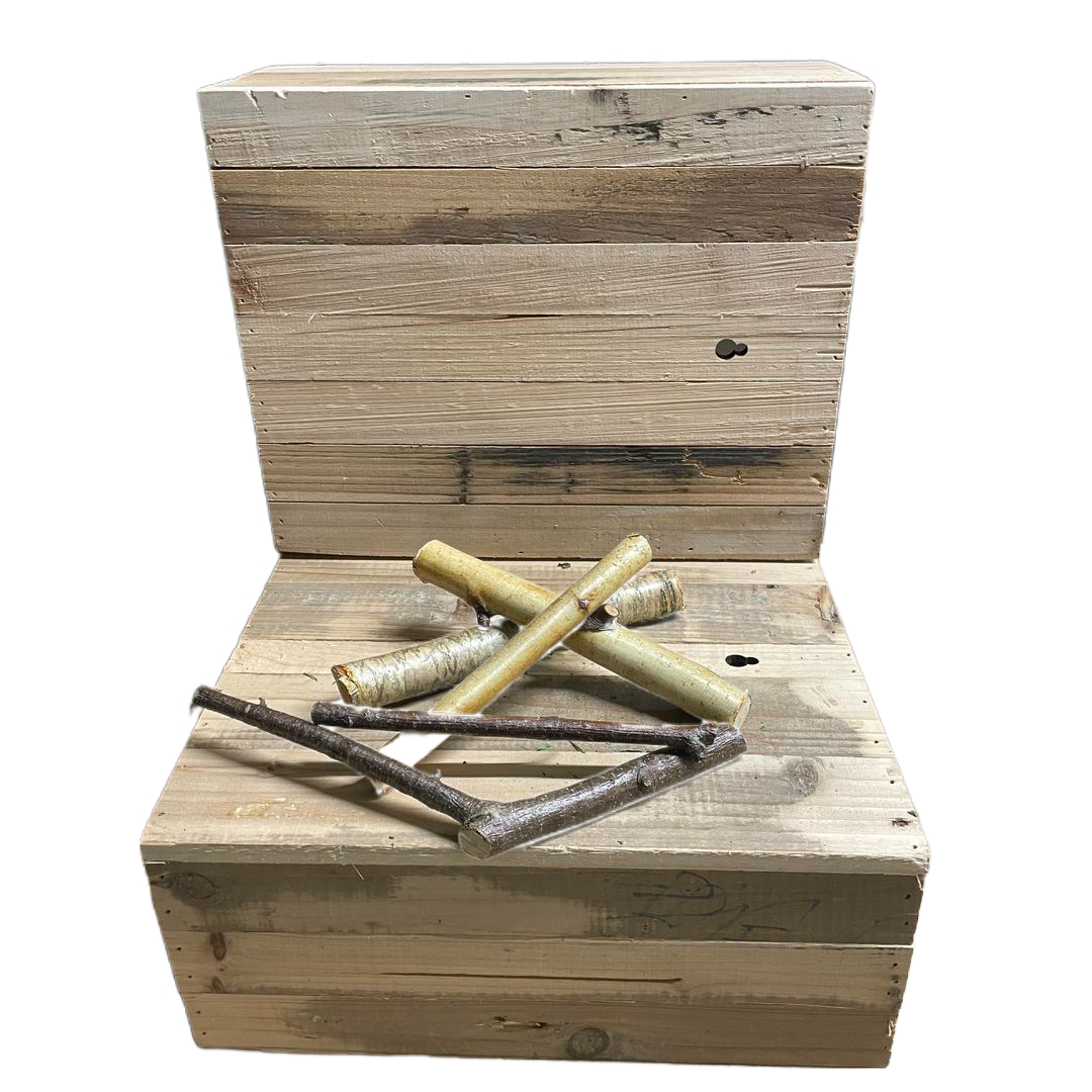 Bâtonnet de bouleau