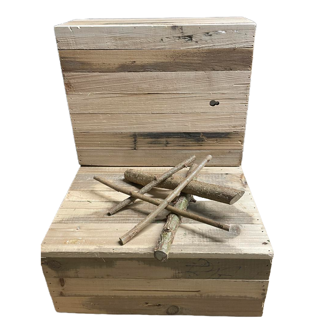 Bâtonnet de noisetier