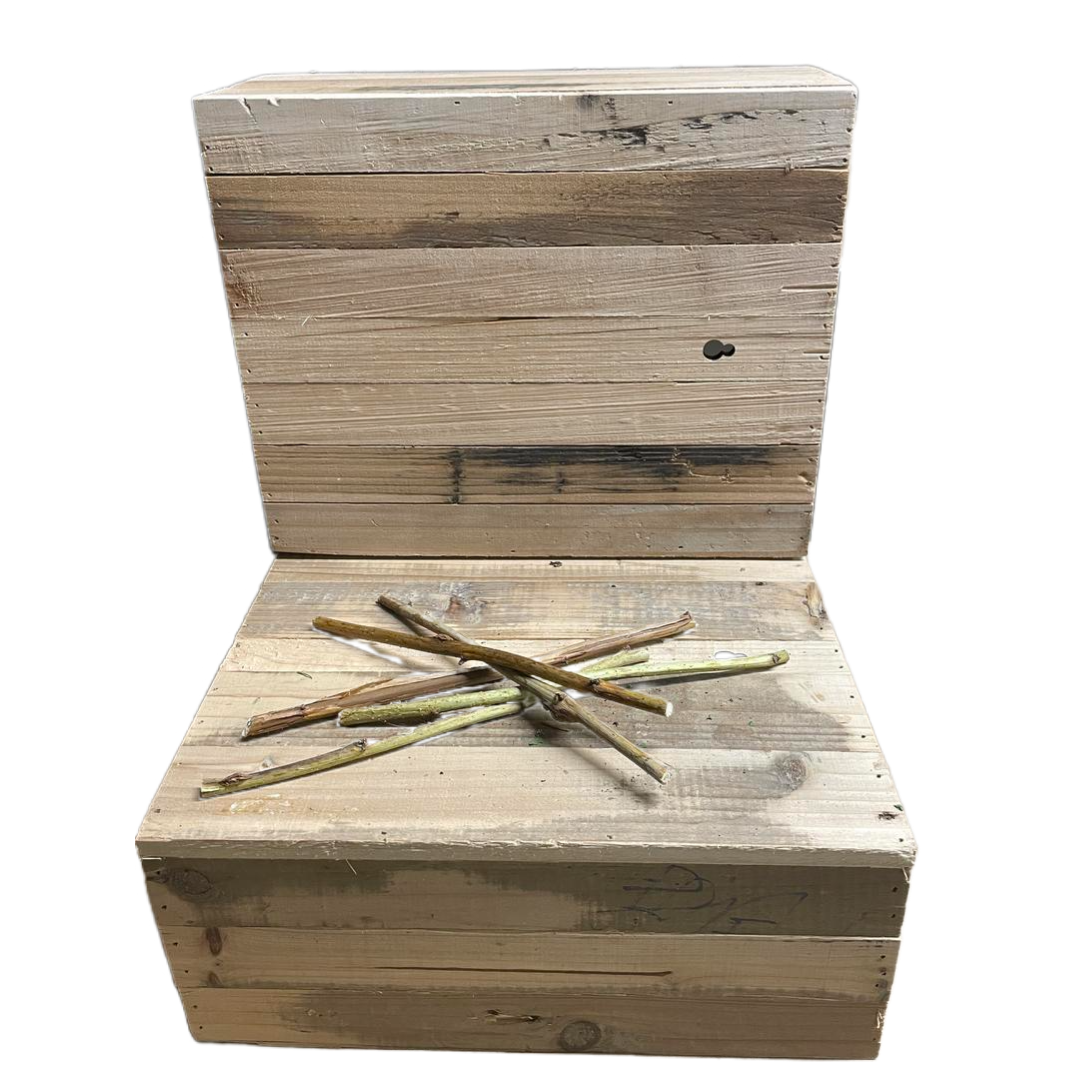 Bâtonnet de framboisier