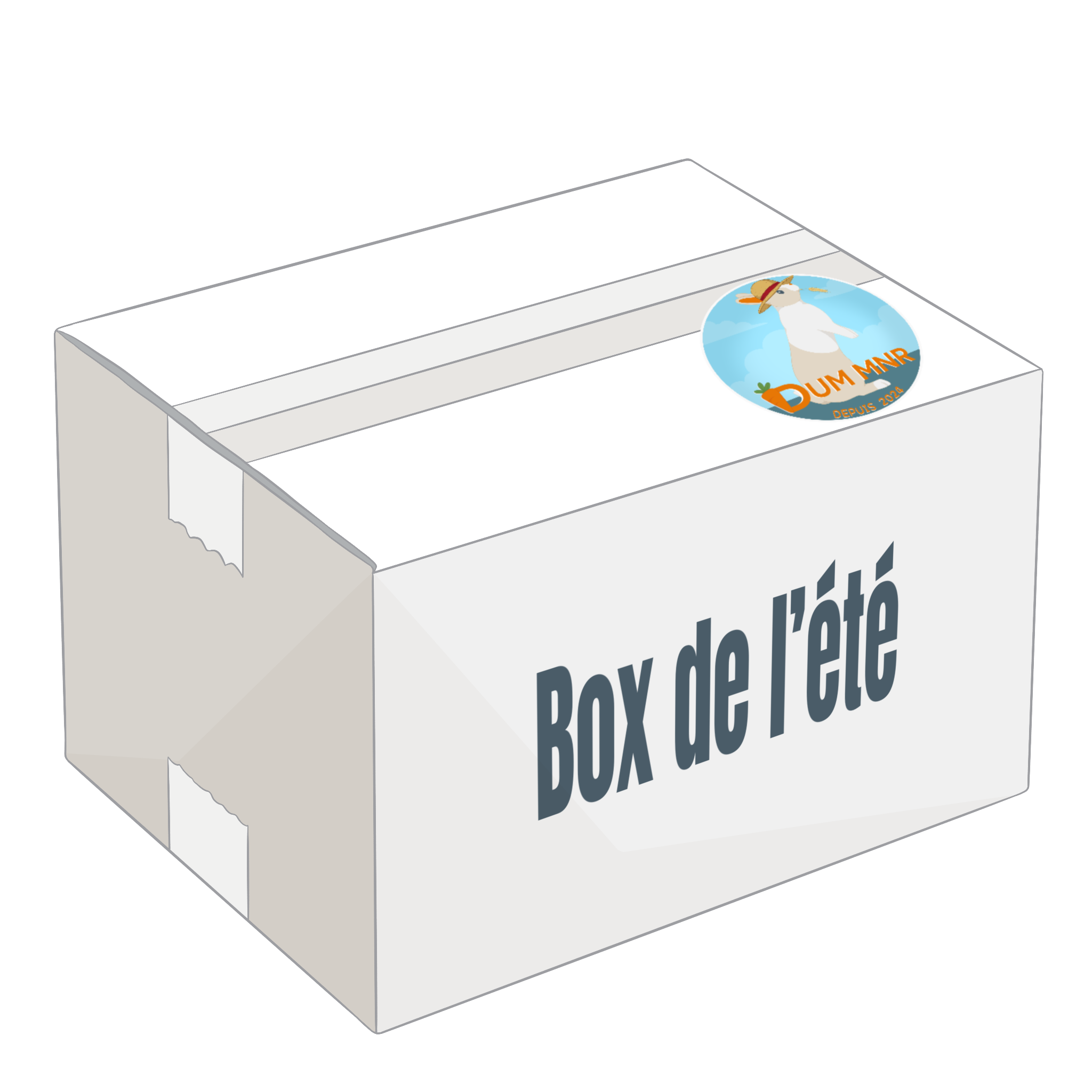 Box d’Été – Édition Limitée