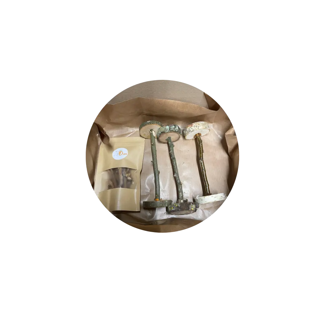 Box haltères de grignotage DUM MNR