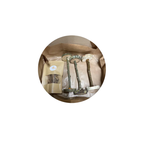 Box haltères de grignotage DUM MNR