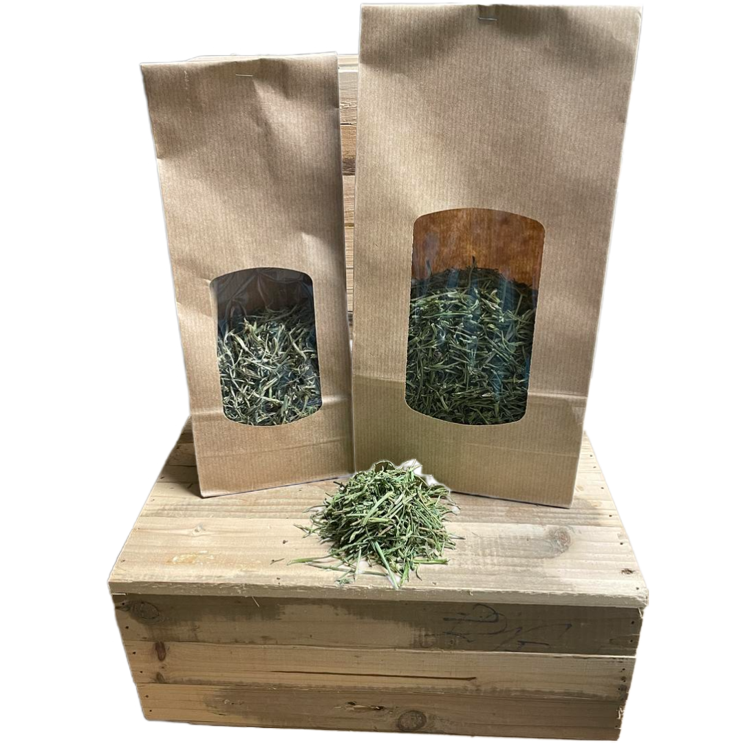 Tige céleri branche