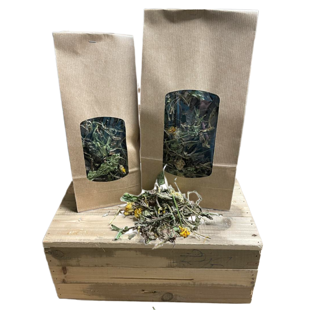 Feuille de pissenlit