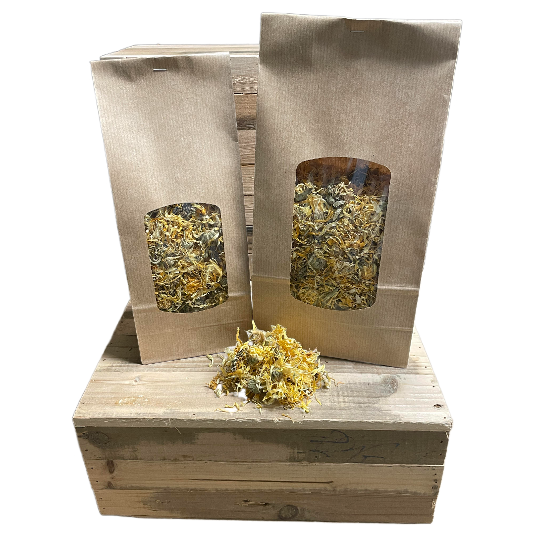 Fleur de Souci (Calendula)