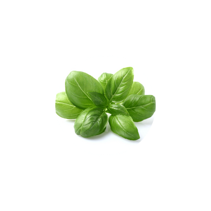 Délice de Feuilles