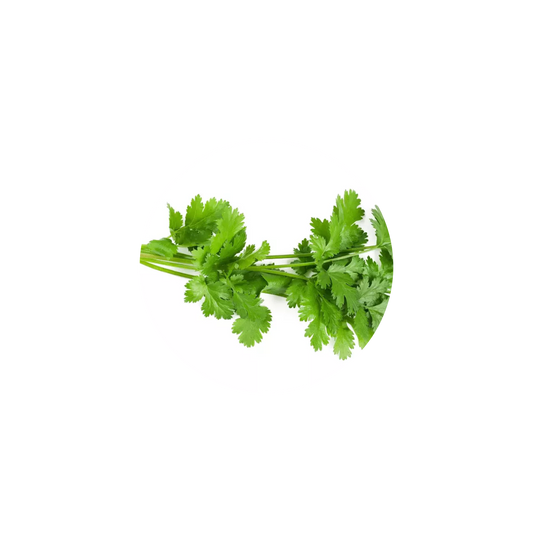 Délice Saveur et Santé