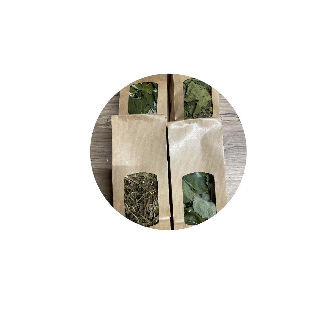 Box Feuilles du Jardin DUM MNR