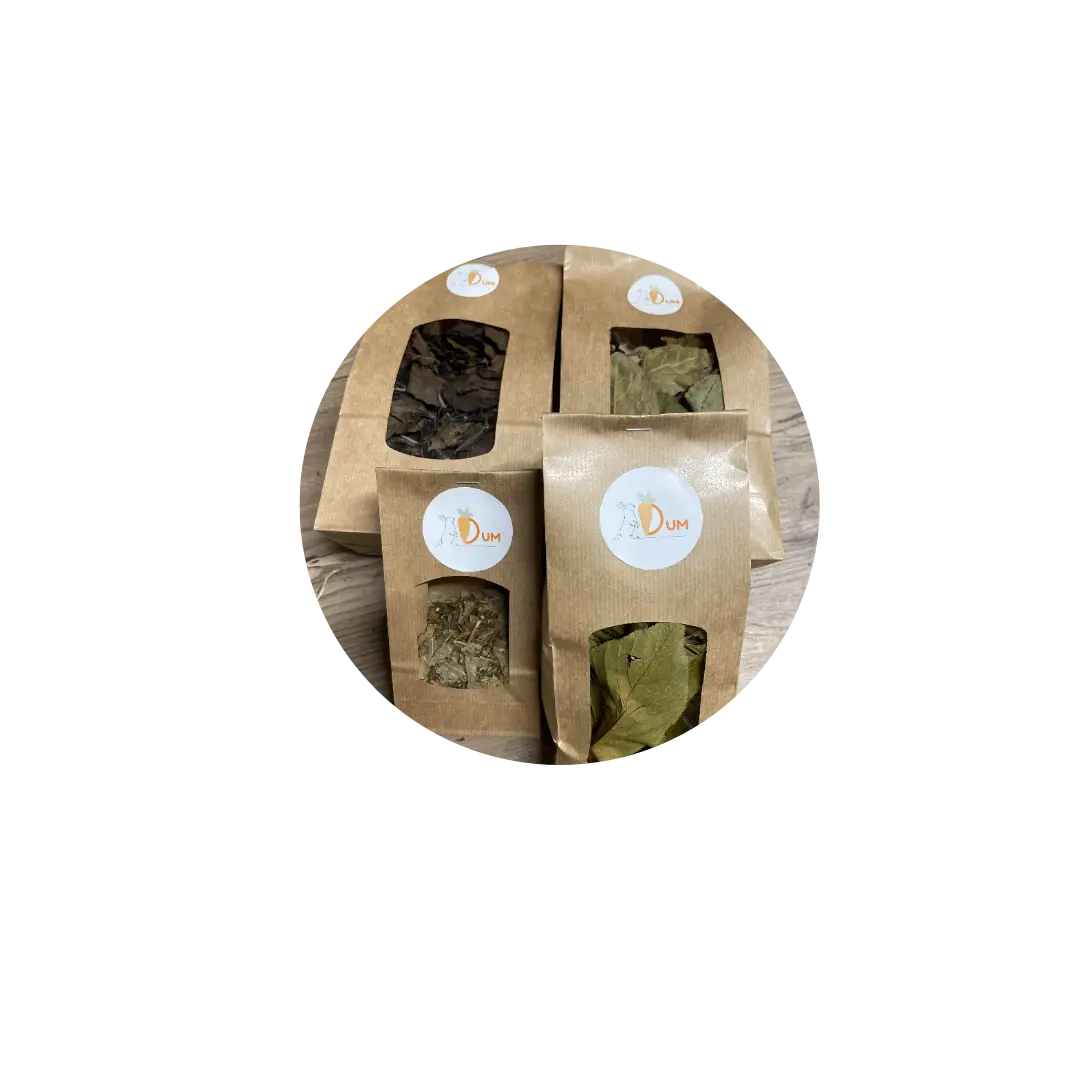 Box Feuilles Fruitées DUM MNR