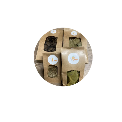 Box Feuilles Fruitées DUM MNR