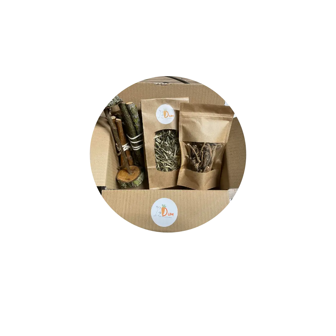 Box entretien dentaire DUM MNR