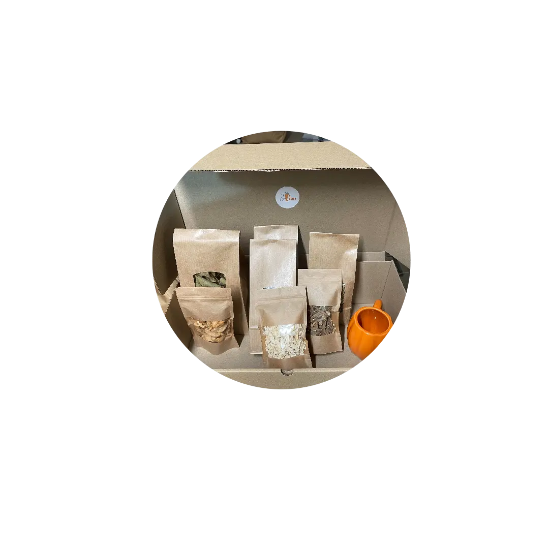 Box d'Halloween DUM MNR