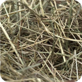 Foin de Prairie 2kg