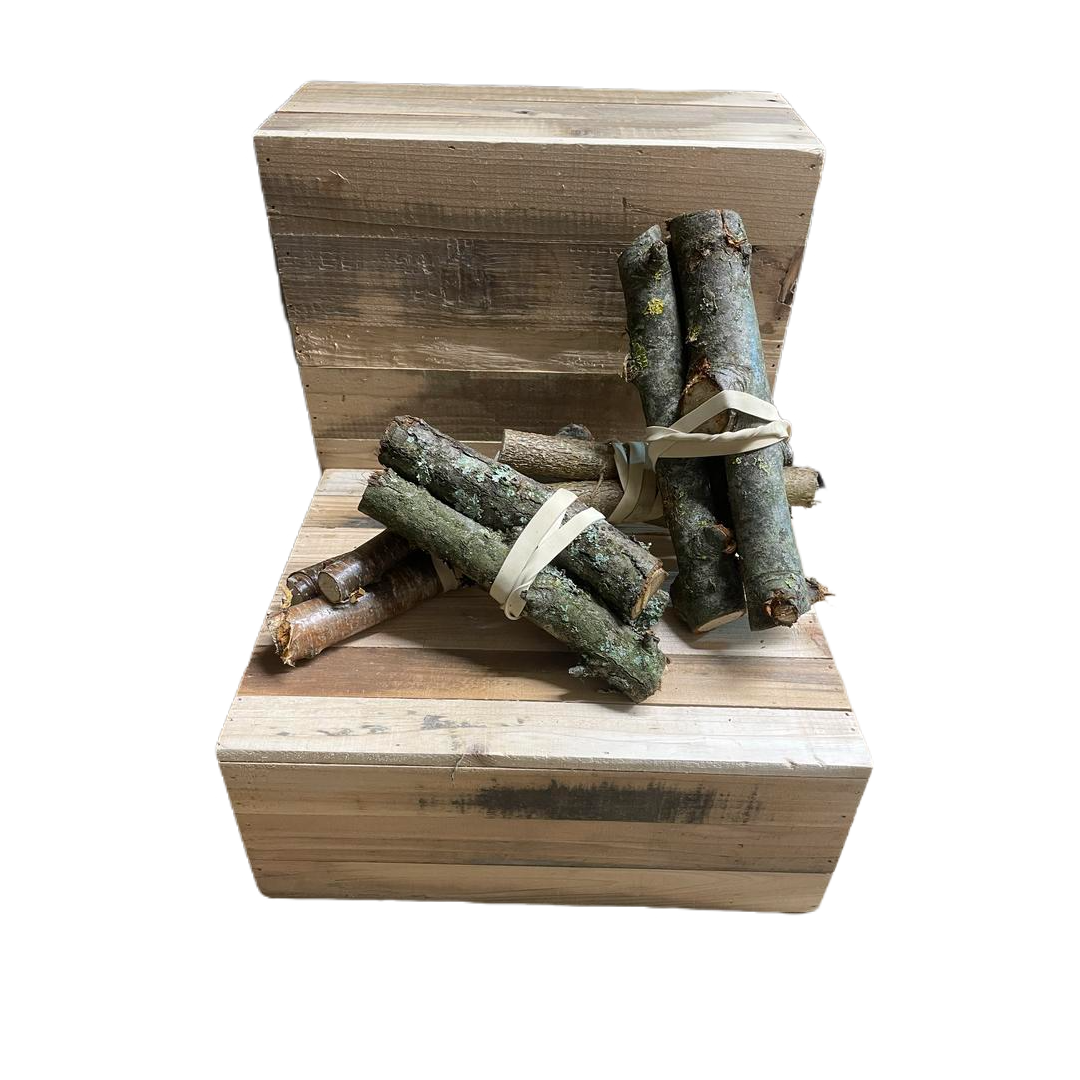 Lot de 3 Bâtons