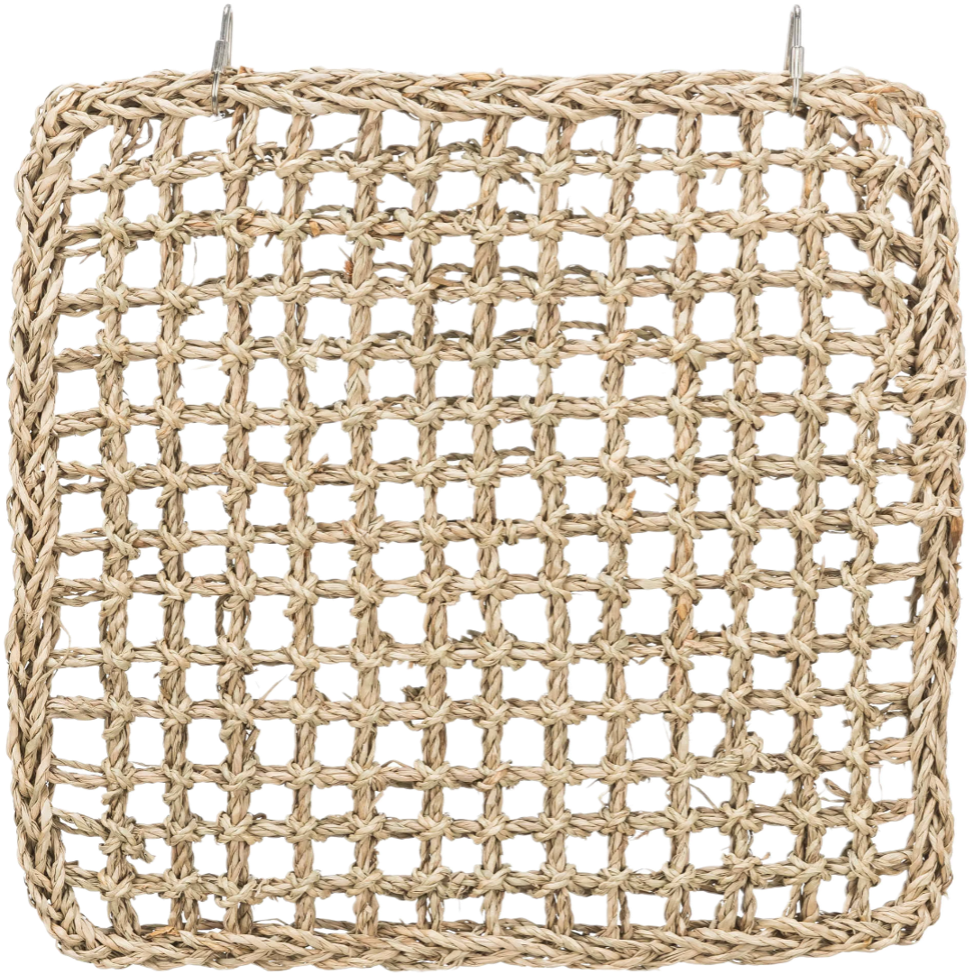 Tapis d'escalade en algues