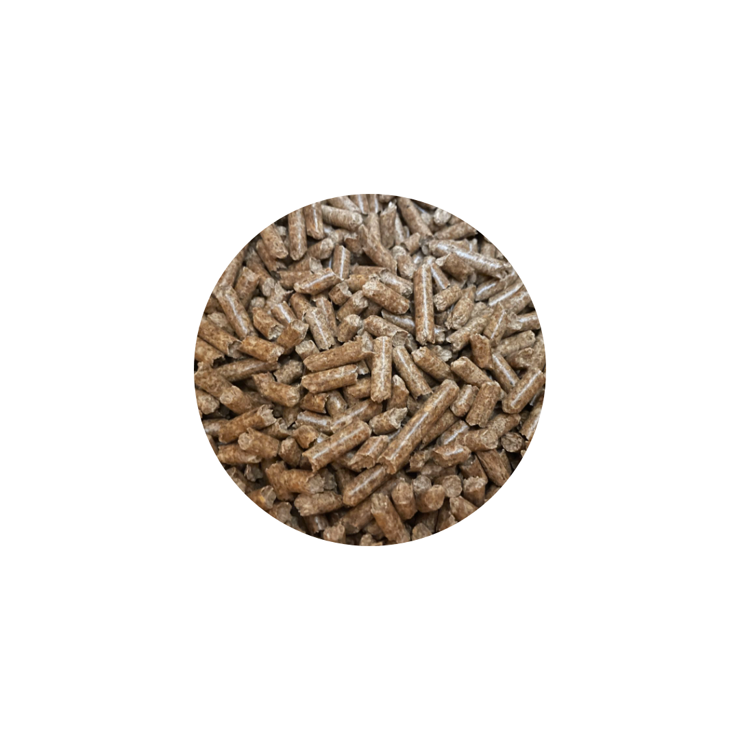 Litière Granulé de bois 100% Naturel