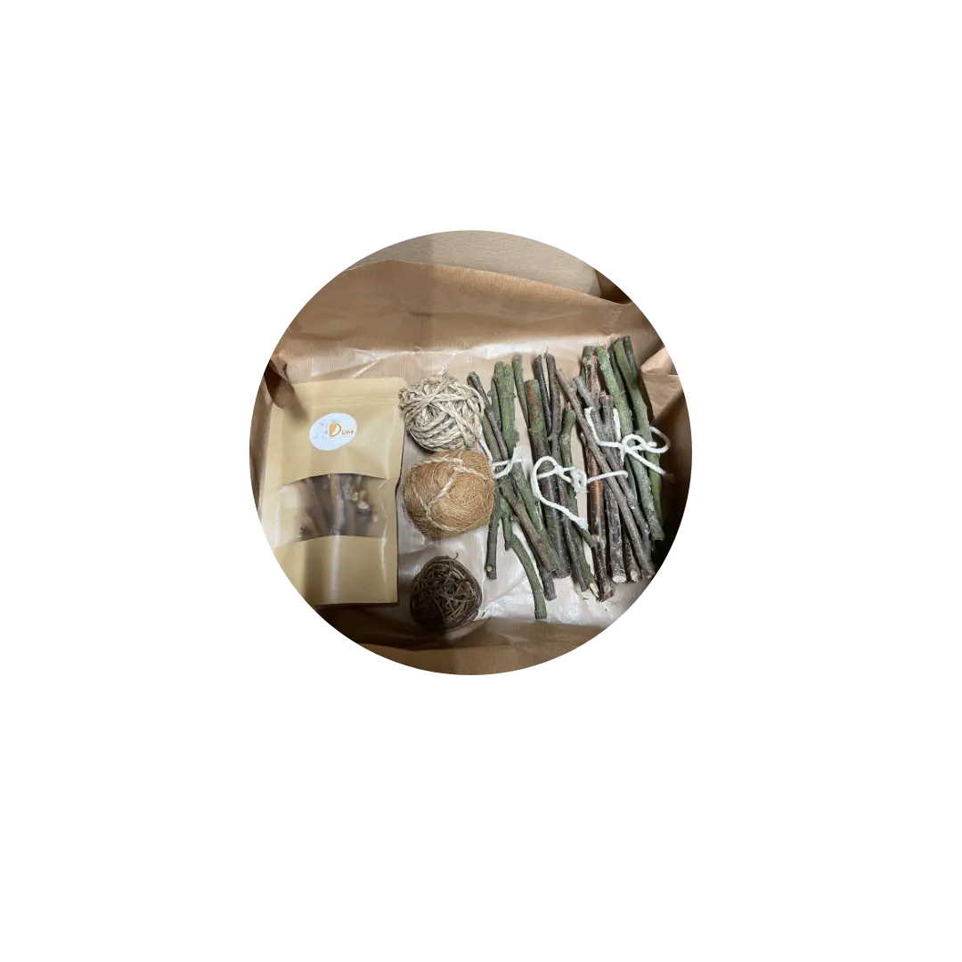 Box grignotage XXL DUM MNR