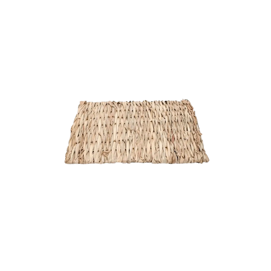 Tapis de Jeux